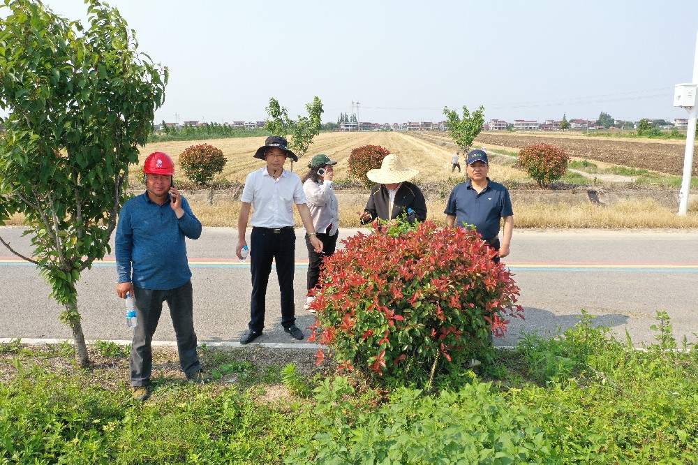 小麦提质增产我们一直在行动——成果验收